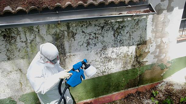 Trusted Crawl Space Mold Removal service in Midland, PA - Cheap Mold Removal